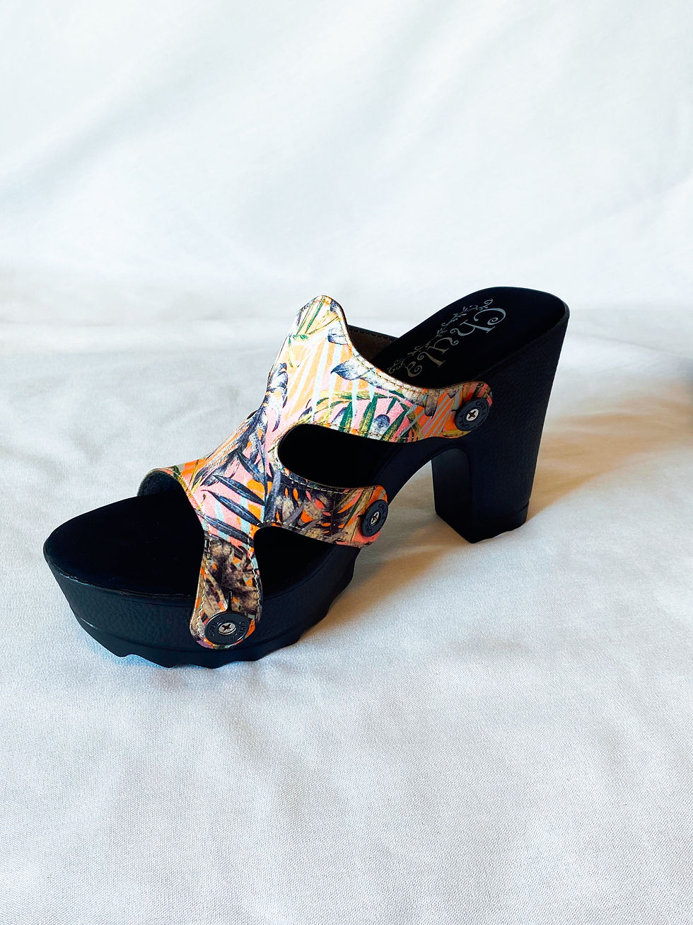 Thumbnail: Top Elegance Howea