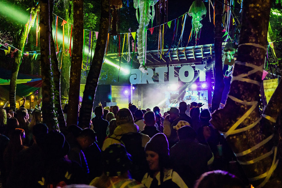 King Kong Company and Rathaus will host a Sunday night festival closing party with DJ sets on the ArtLot Stage. Image: Electric Picnic