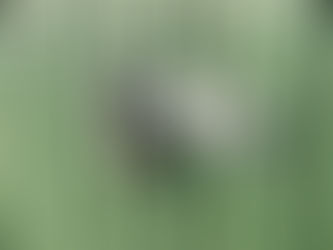 Finding the right Key