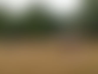 September Newsletter