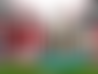 AC Milan vs Newcastle - afterthoughts