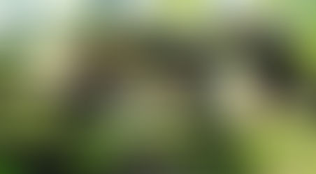 Grand Rapids ranked #1 in Forbes "Best Buy Cities" 2016 Report