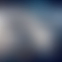 HMSS Broadside. The lost Journals