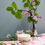 Thumbnail: Sojawachskerze mit Rosen- & Honigduft