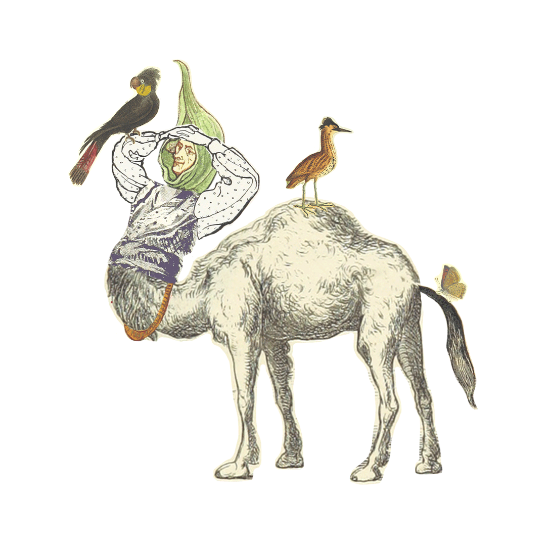 7.gif