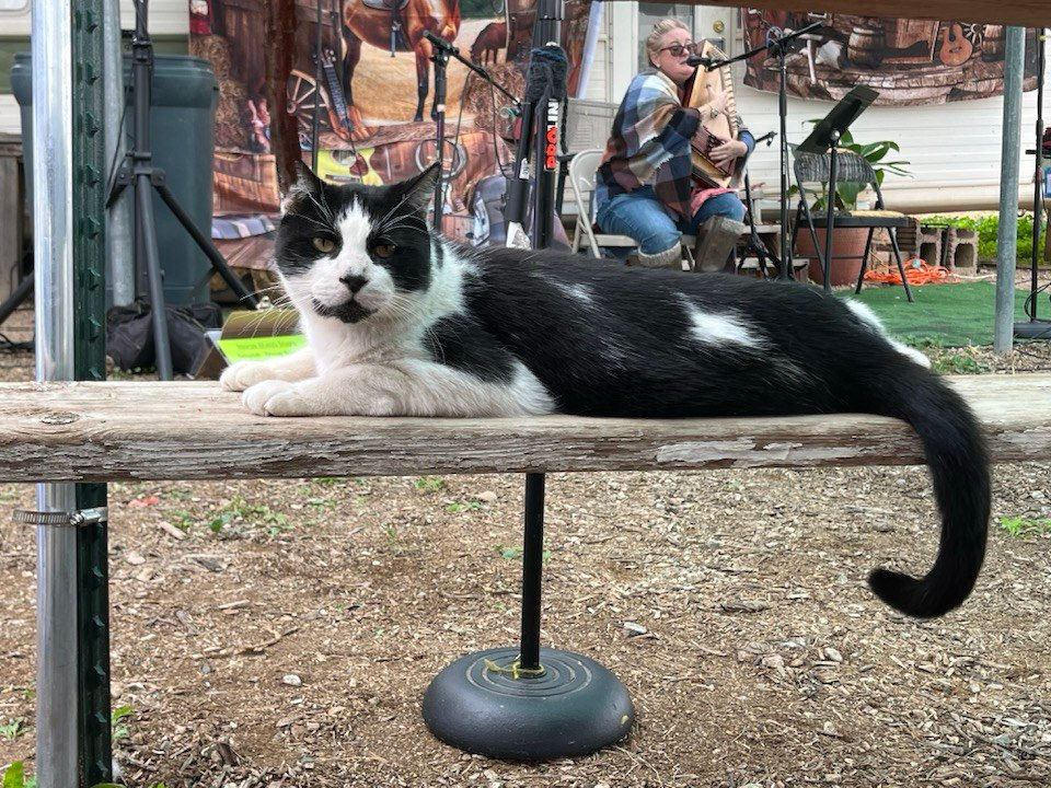 Glendale Folk Festival 2026