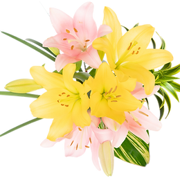 Admin Day LA Enhanced Bouquet