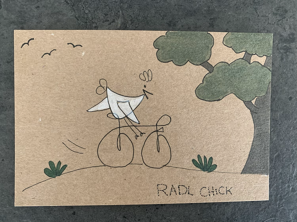 Miniaturbild: HAPPY CHICKS LINE 6er SET Postkarten DIN A6 Fotodruck Kraft