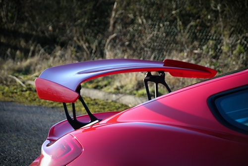 981/718 GT4 Renntechnik Extended Wing Risers | ninemeister shop