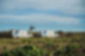 DSC01548-Clean.jpg