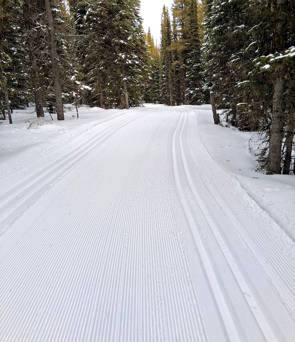 Groomed Friday 1/30