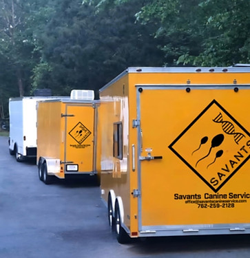 Savants Trailers.jpg