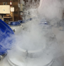 Website nitrogen.jpg