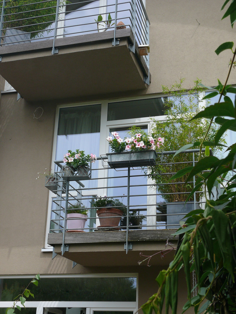 Ansicht Rückgebäude Tonnendach