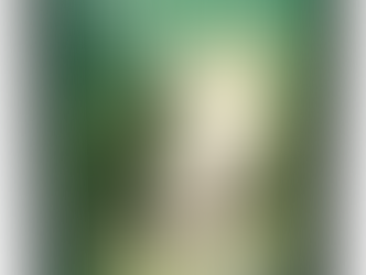 QUEENS OF THE CRONE AGE (2026, PS Publishing) - cover reveal and pre-order links