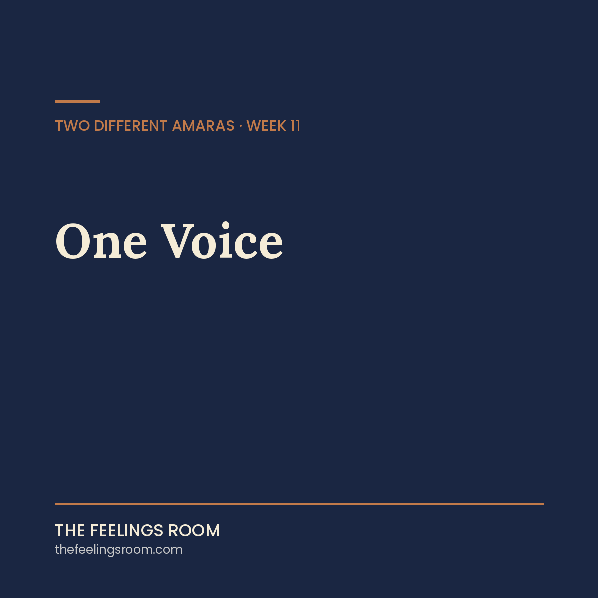 Week 11: One Voice