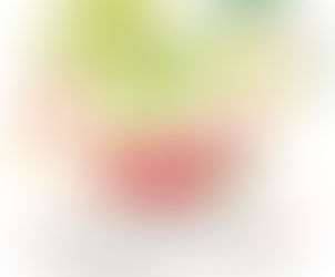 新年のご挨拶と感謝。