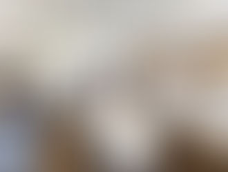 本日の土曜教室の様子です。