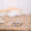 Thumbnail: Bruny Island Ring