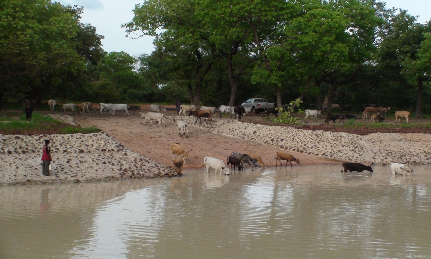 Mare de Pakour au Sénégal