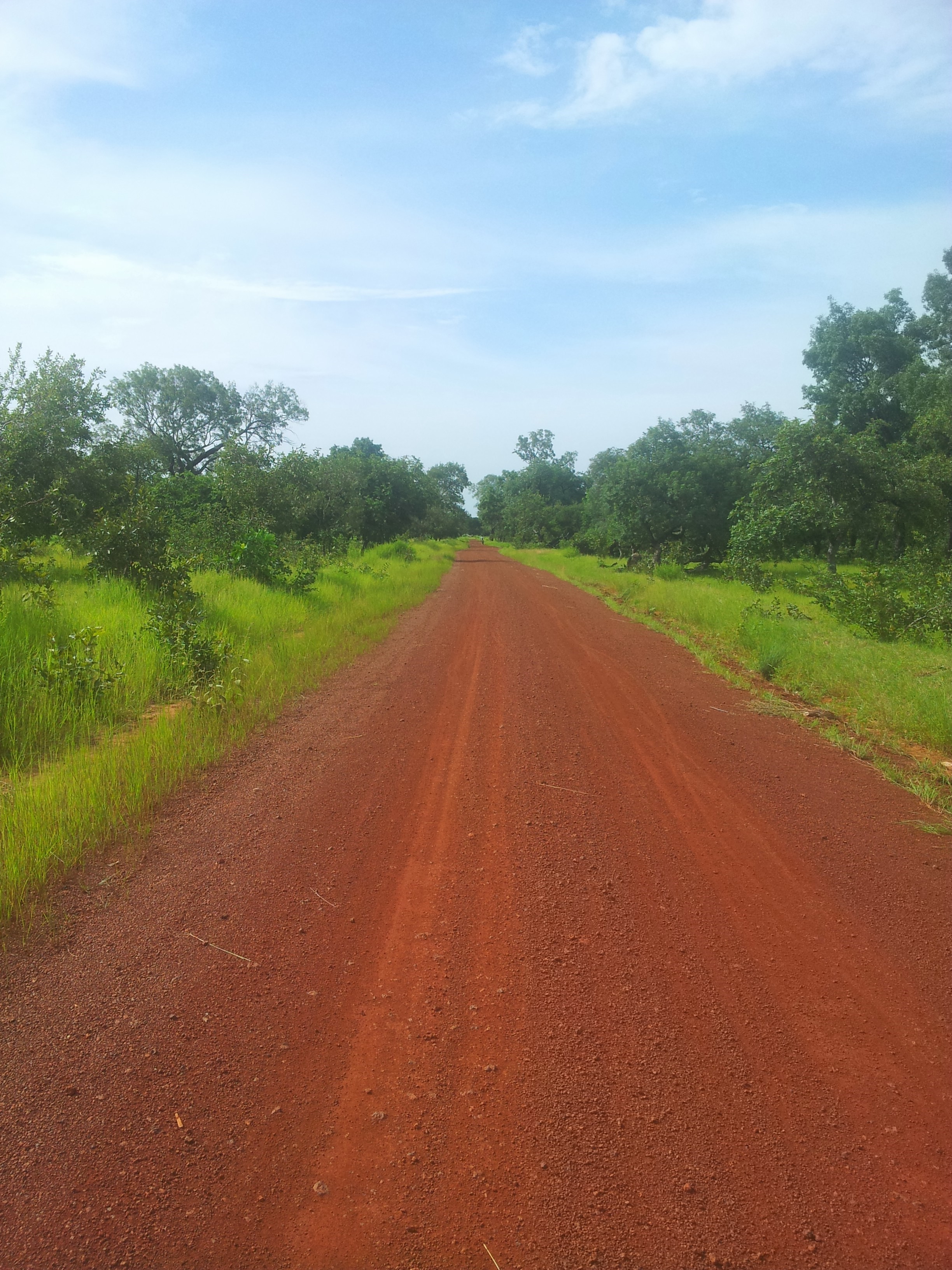 Piste RN9-Kamabi en Guinée