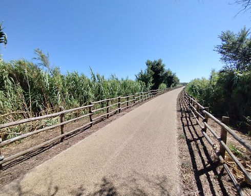 ciclabile.jpeg