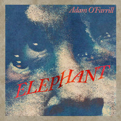 Adam O'Farrill - Elephant