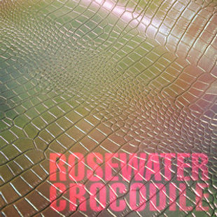 Cousin Tony's Brand New Firebird - Rosewater Crocodile