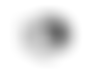 Programme de Qigong & Méditations Dynamiques Extrême-Orientales.