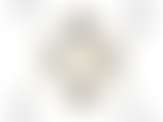 Pratique du Yǎngshēng & des Arts Méditatifs Extrême-Orientaux