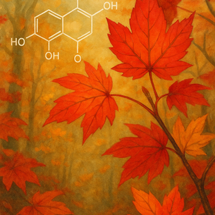 La Terre, au fil du temps: Chǔshǔ 處暑 , manifestation de l'Oxydation.