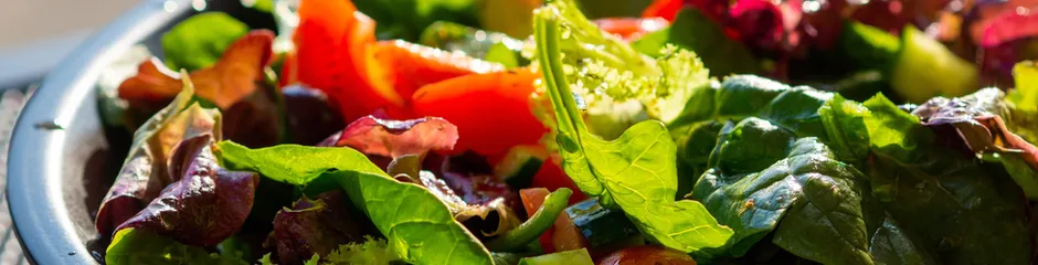 Arranged Food and Objects