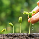 NLP Practitioner Ausbildung Schweiz.png