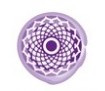 kronenchakra