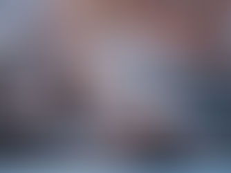 Workshops in February!