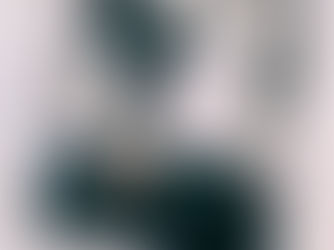 30 Tages Challenge #137: Rosalie