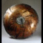 "Warrior of the Light - I"