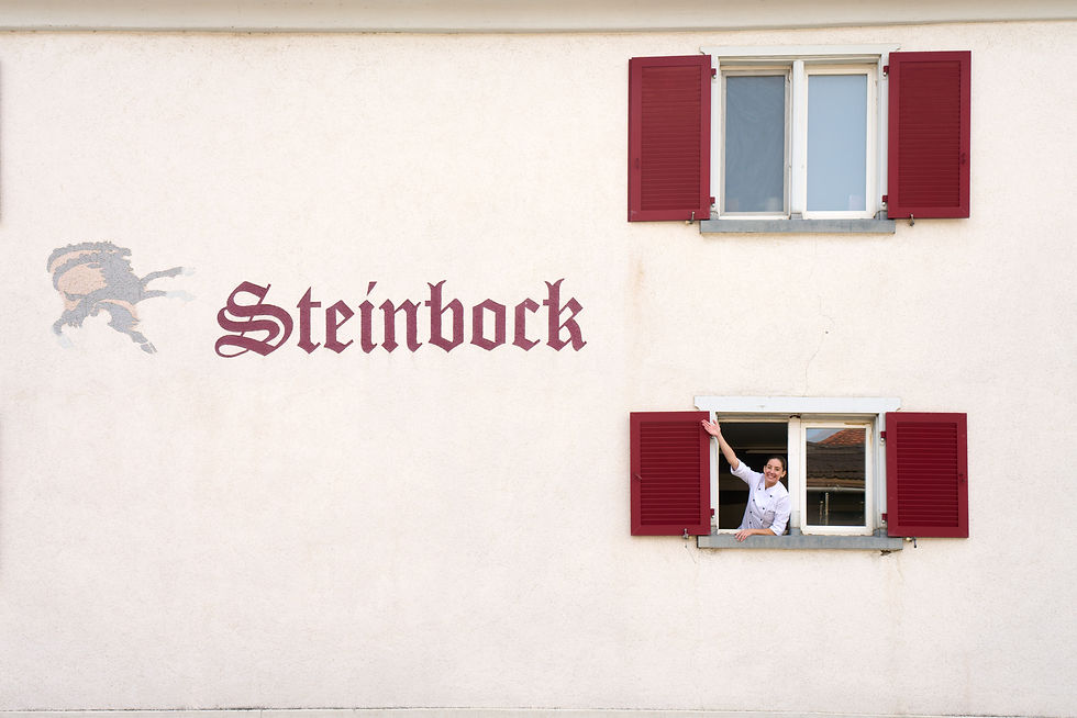 Steinbock