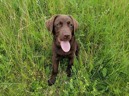 Zdjęcie WhatsApp 2025-10-01 o 23.39.43_be4af540.jpg