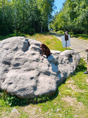 Zdjęcie WhatsApp 2025-10-01 o 22.48.54_d21c990d.jpg