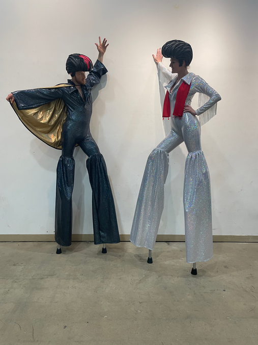 Las Vegas Elvis
Hawaiian Elvis