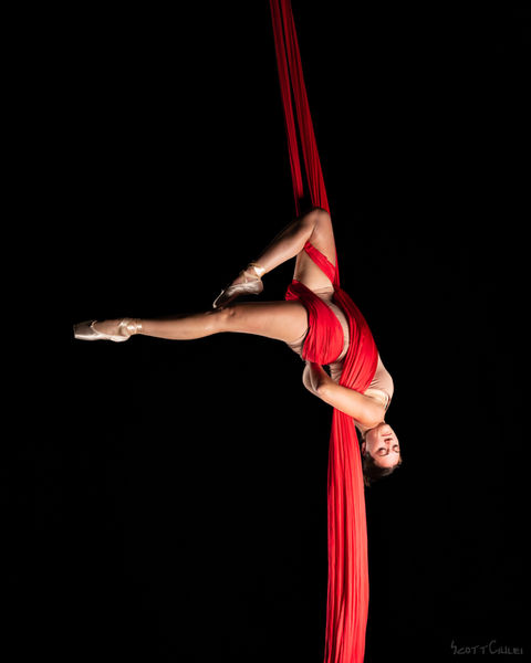 Aerial Silks