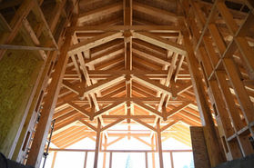 cabana turistica ceahlau