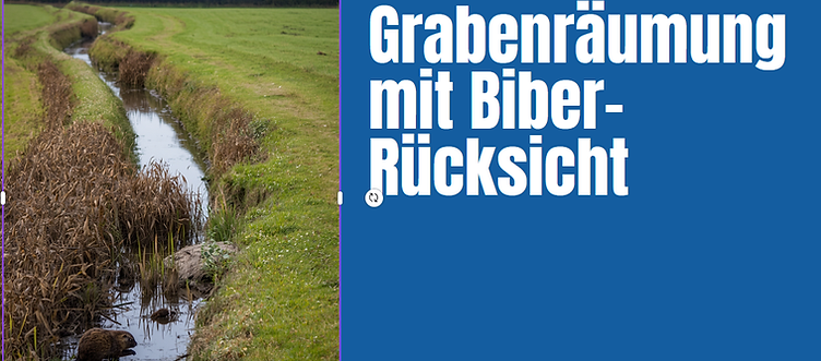 grabenräumung.png