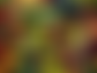 Nutrition Tips and Muscle Gain: ValeFit's Expert Guidance