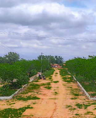 IMG-20200614-WA0006 (1)_edited.jpg