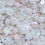 Thumbnail: Backdrop#12 -  Daisy Blush/Pale pink/white