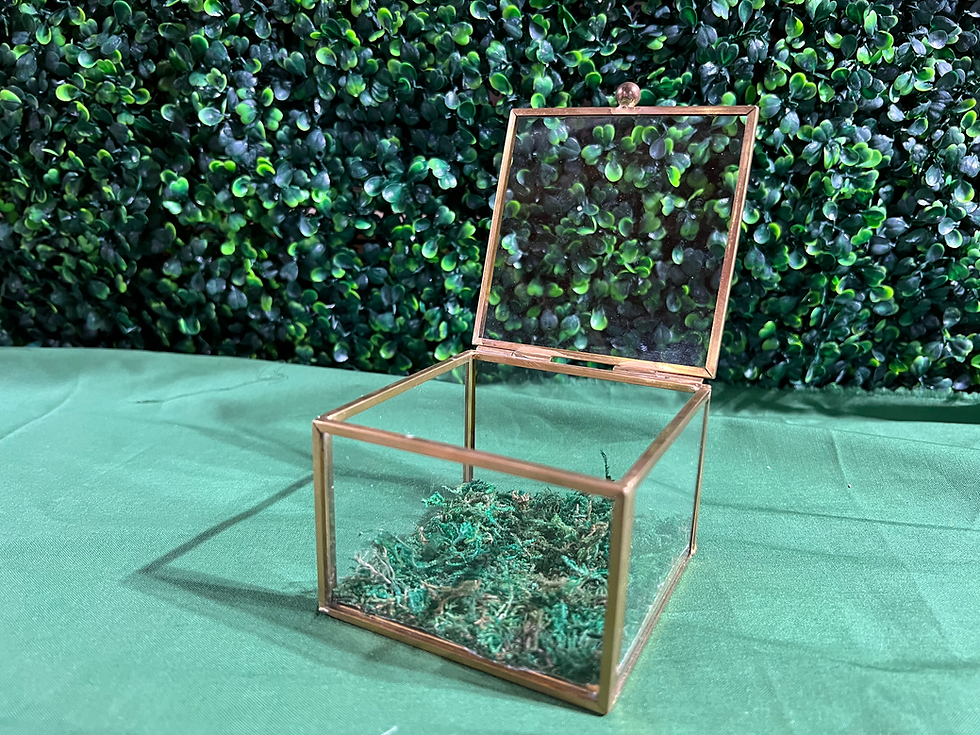 Shop Sunflower Wedding Rentals 20 22 shop-sunflower-wedding-rentals-20-22