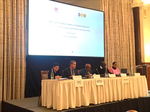 LDC Group Ambassadors and experts retreat 