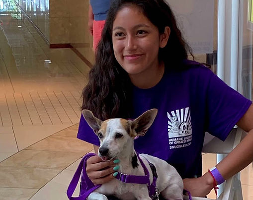 Humane Society of Greater Miami